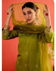 Chanderi Kantha Embroidered Straight Kurta-1C24KPLDR002 Mehendi Green